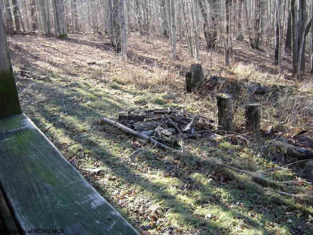423 Cabin Mountain Road Davis, WV 26260 - Photo 20 of 20 Gallery Image 20