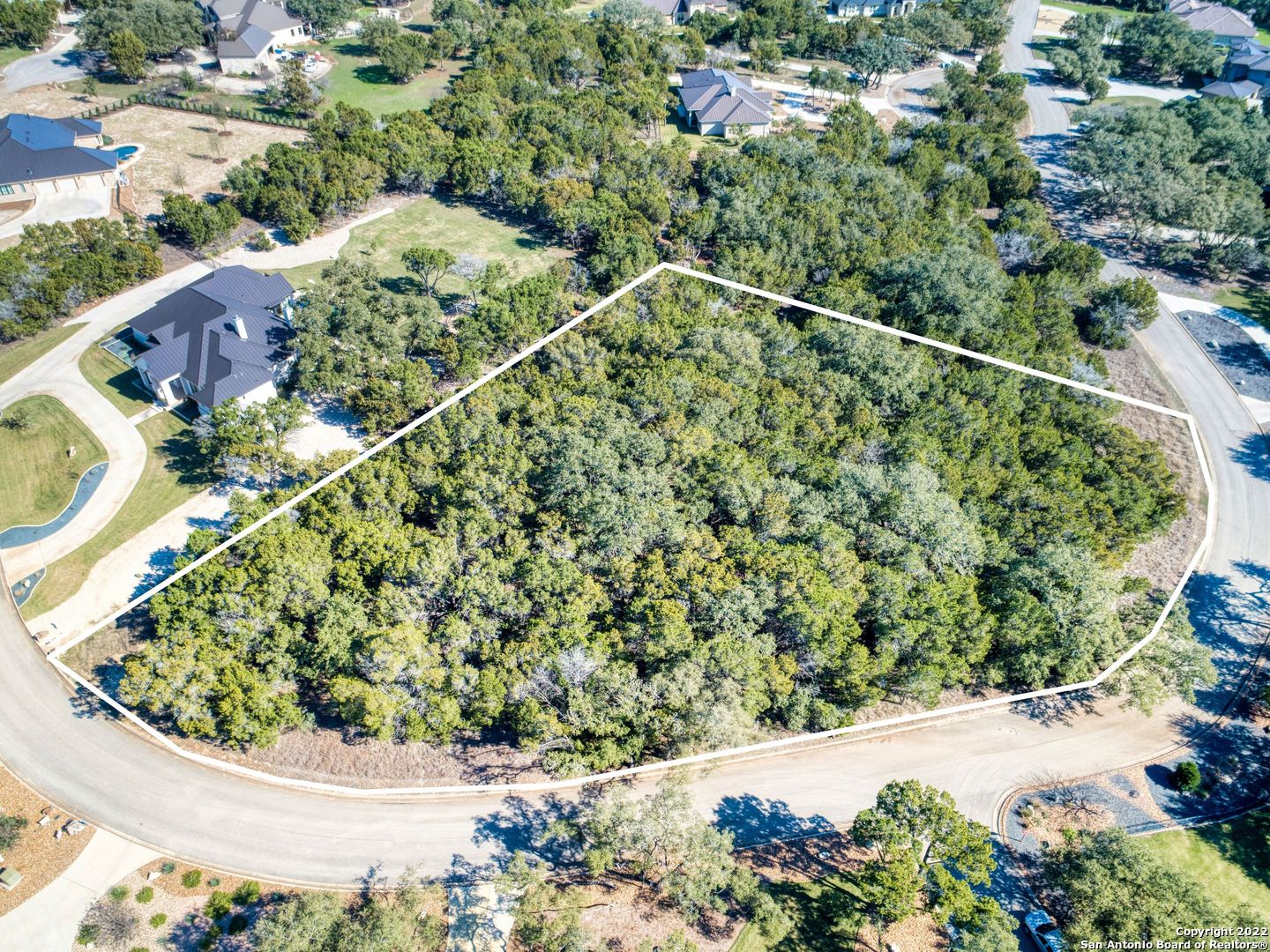 27202 Eichenbaum Road New Braunfels, TX 78132 - Photo 1 of 1 a view of a plant in a yard