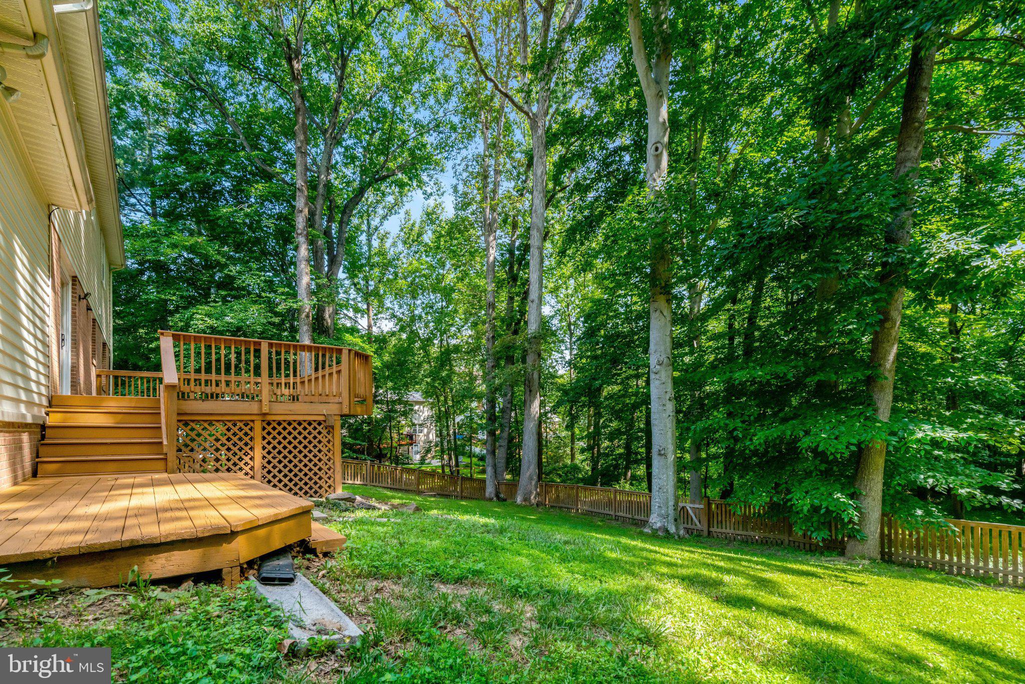 7217 Reservation Drive Springfield, VA 22153 - Photo 48 of 57