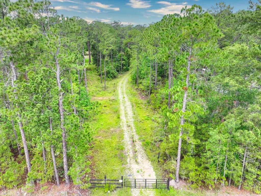 0 Patterson Still Road Thomasville, GA 31792 - Photo 2 of 12 Gallery Image 2