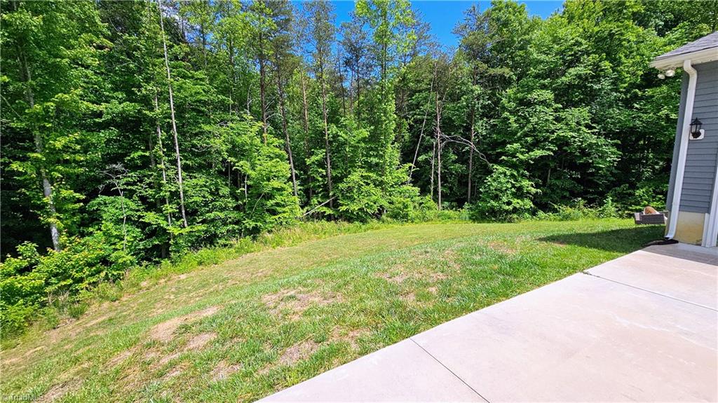 952 Trinity Church Road Tobaccoville, NC 27050 - Photo 39 of 41