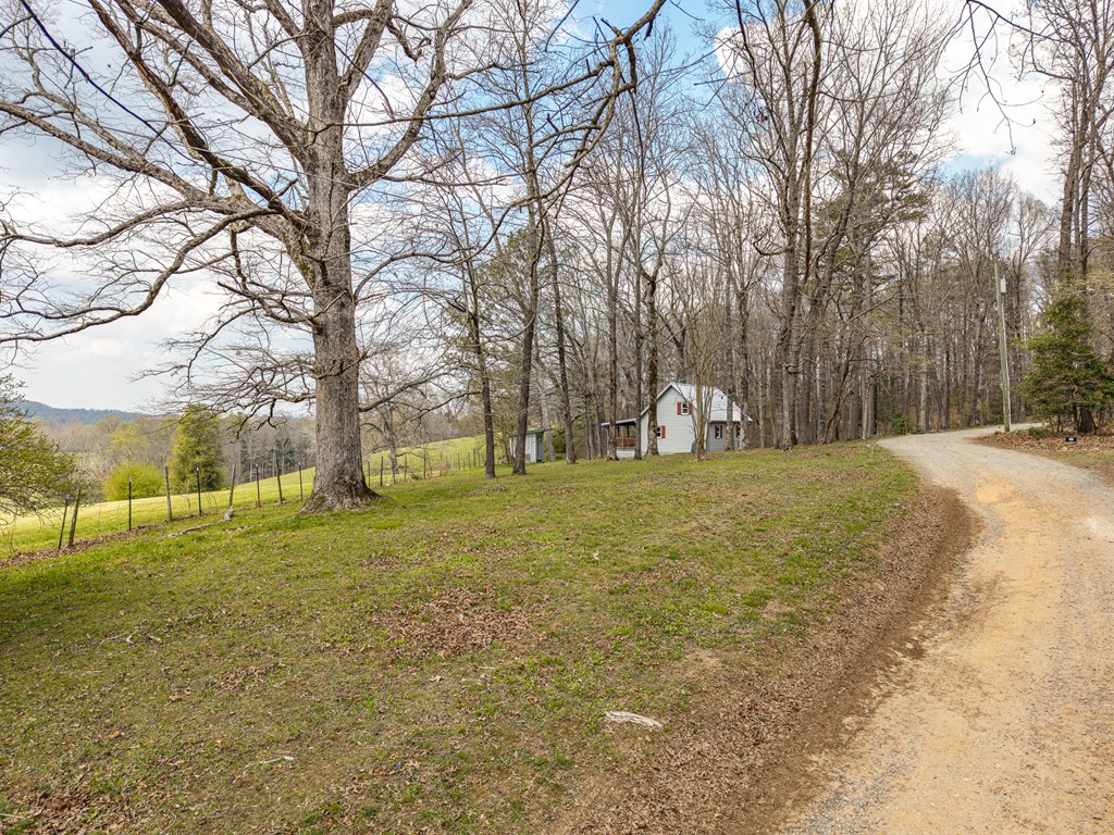 195 Wise Acres Road Ellijay, GA 30536 - Photo 37 of 43 Gallery Image 37