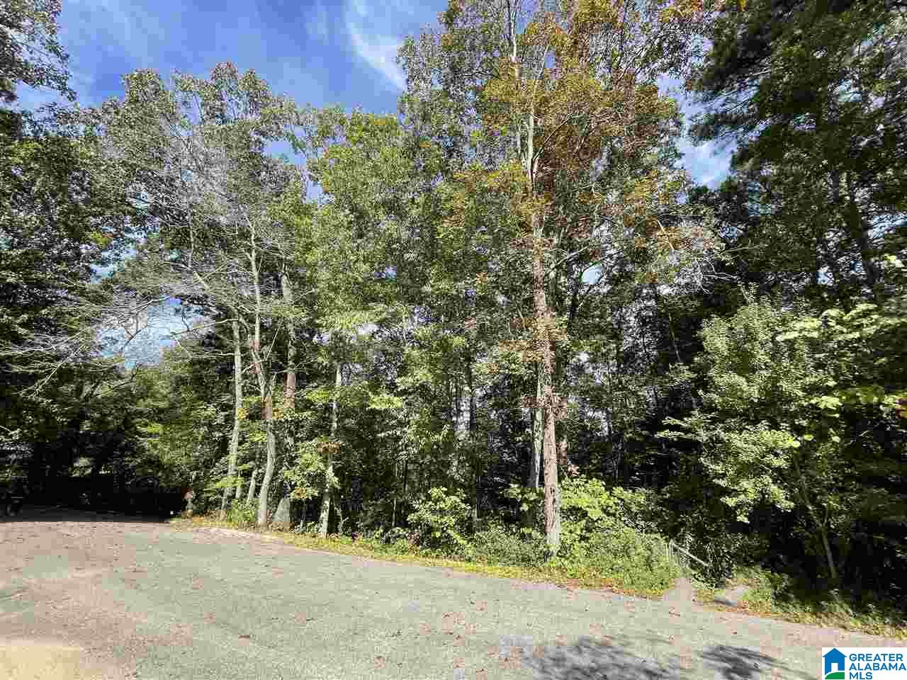 0 Shady Lane Cullman, AL 35055 - Photo 4 of 6