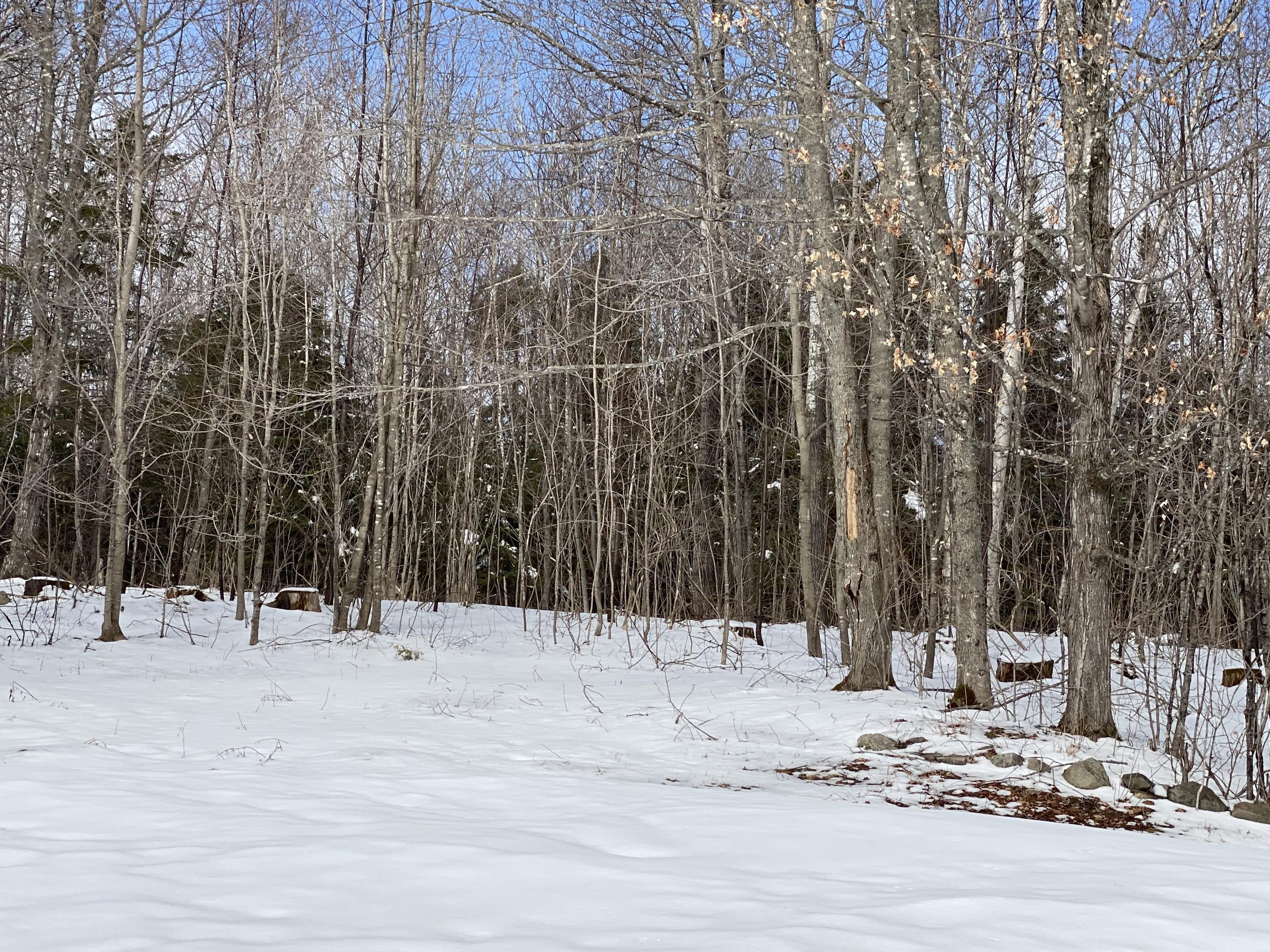 512 W Road New Sweden, ME 04762 - Photo 82 of 98 512 West Rd New Sweden March 2021 (99)