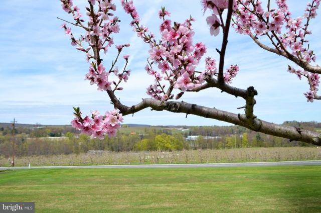 570 Reservoir Road Gardners, PA 17324 - Photo 10 of 34 Gallery Image 10