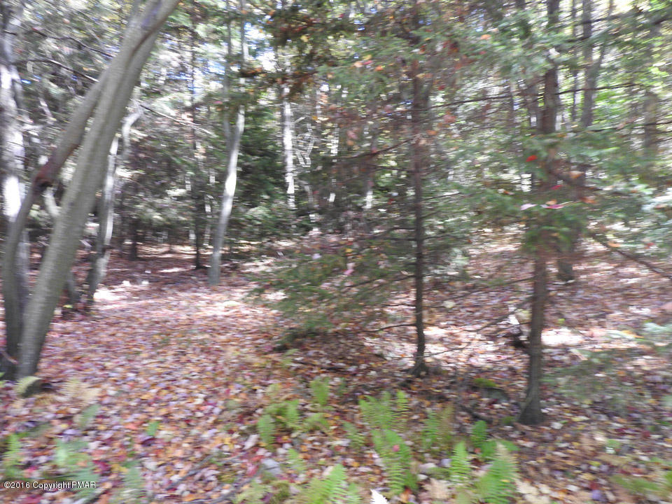 4 Lidio Road Blakeslee, PA 18610 - Photo 6 of 20 a backyard of a house