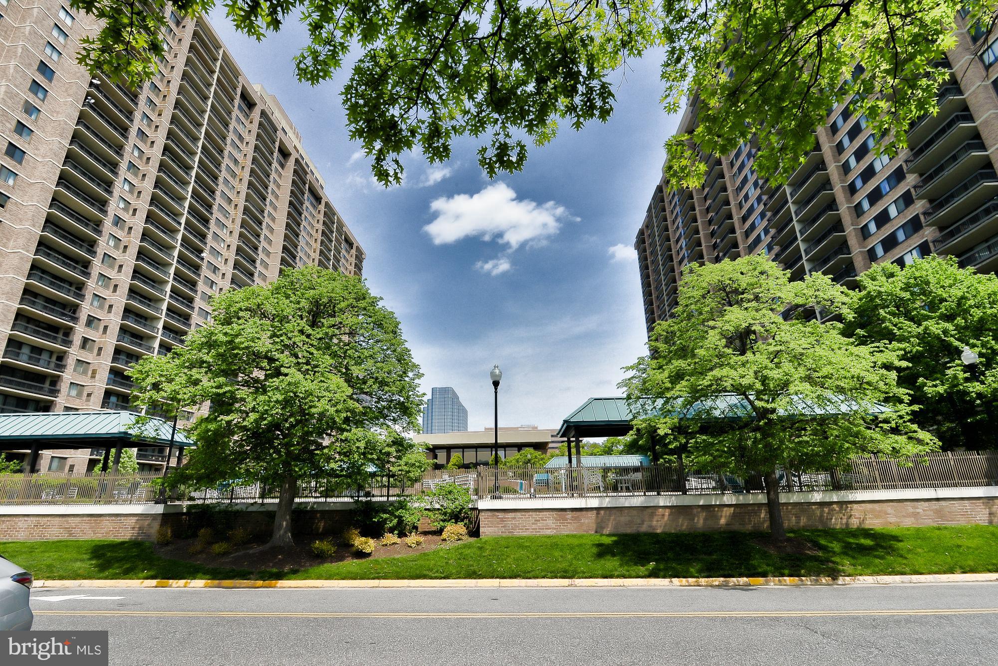 5505 Seminary Road, Unit 1817N Falls Church, VA 22041 - Photo 30 of 31 a view of a yard with plants and large trees