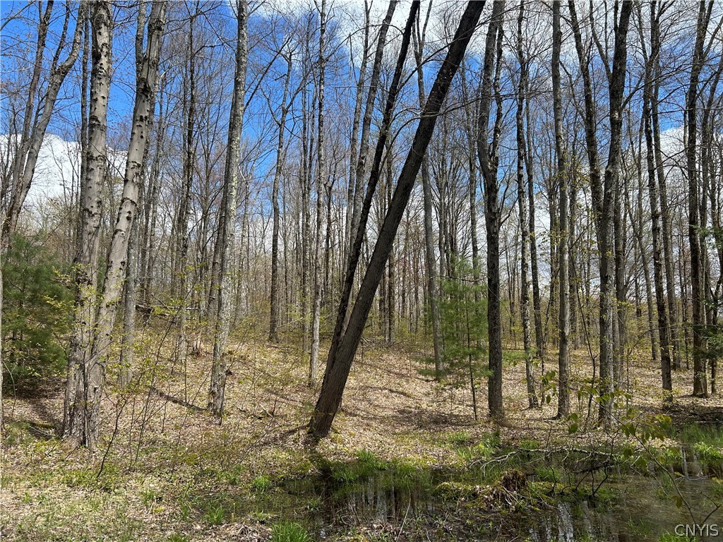 0 North Hillsborough Road Camden, NY 13316 - Photo 6 of 8
