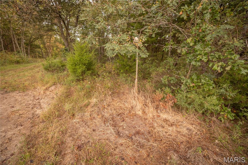 0 Abbott Road Bellflower, MO 63333 - Photo 55 of 86 Gallery Image 55