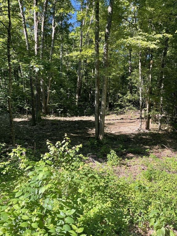 Lot A Ware Road Belchertown, MA 01007 - Photo 4 of 4