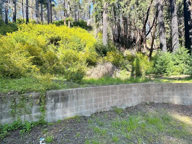 a view of outdoor space and yard