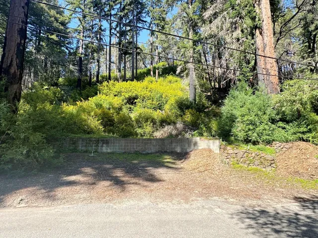 a view of a lake with a tree