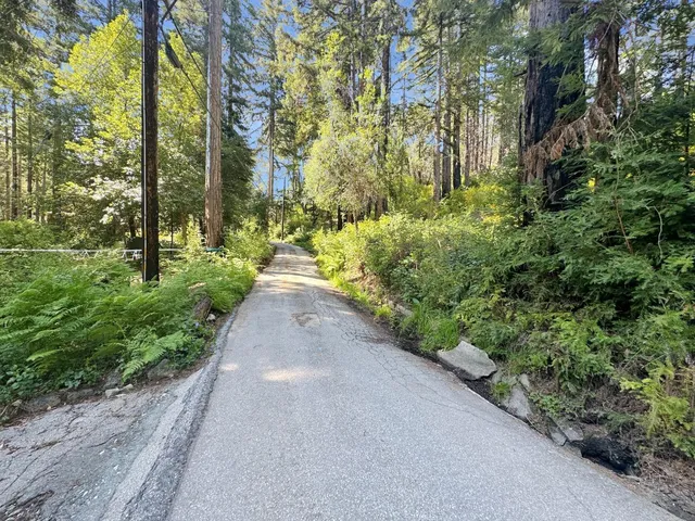 a view of a garden with pathway