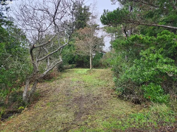 a big yard with lots of green space and plants