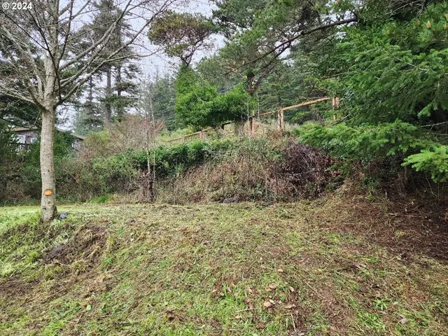 a view of outdoor space and yard