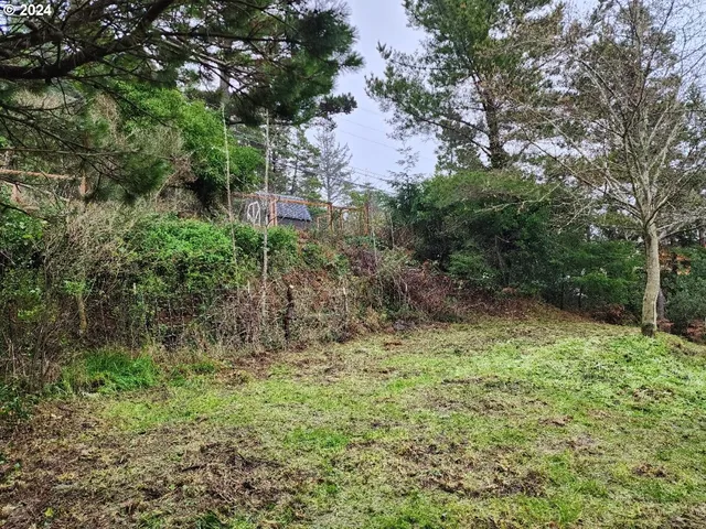 a view of a yard with plants and large trees