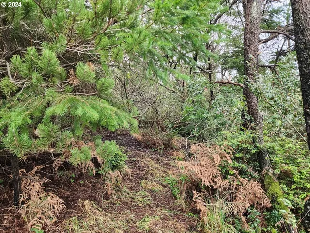 a view of a garden with a tree