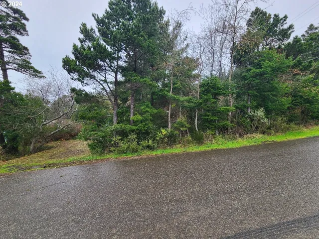a view of a yard with potted plants and large trees