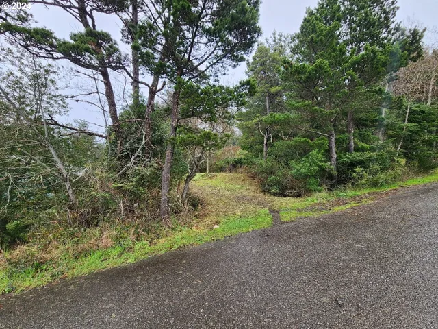 a view of a yard with a tree