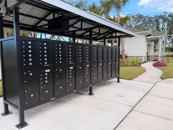 a view of street with flower on the wall