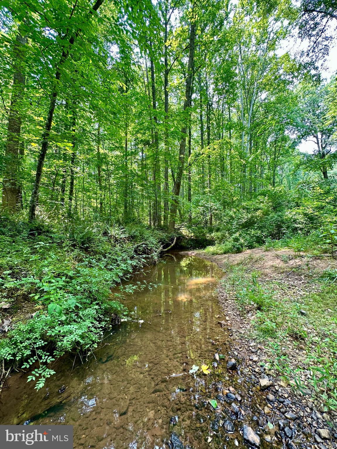 Hoover Road Reva, VA 22735 - Photo 6 of 7 Lovely Stream