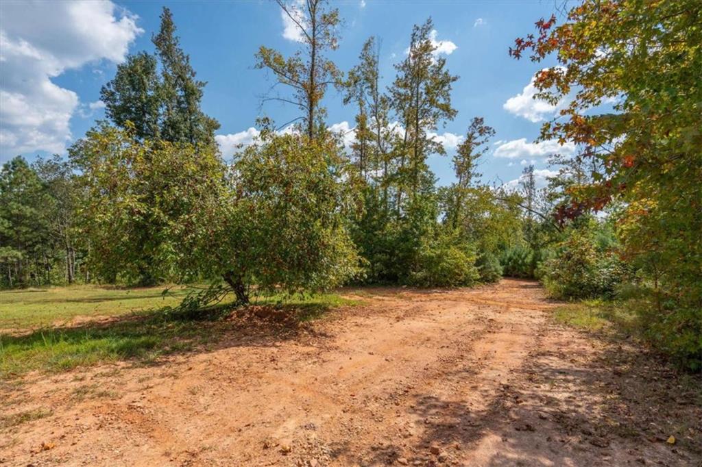 6058 Mt Zion Road Waco, GA 30182 - Photo 15 of 72 a view of a yard with a tree