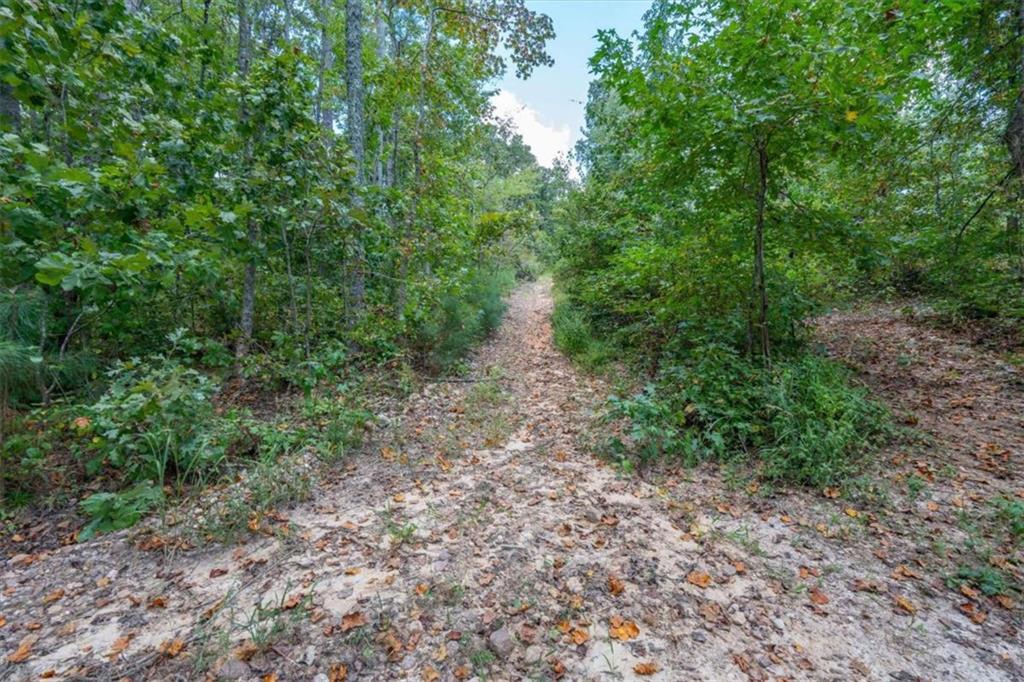 6058 Mt Zion Road Waco, GA 30182 - Photo 17 of 72 a view of a forest with trees in the background