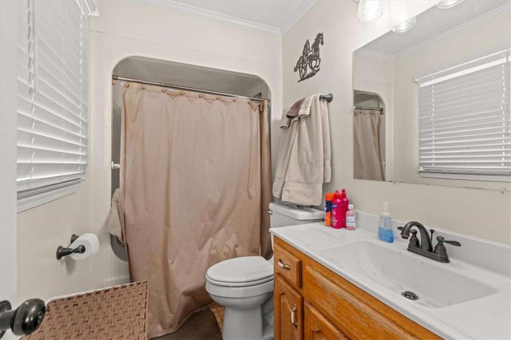 6058 Mt Zion Road Waco, GA 30182 - Photo 42 of 72 a bathroom with a sink toilet and shower