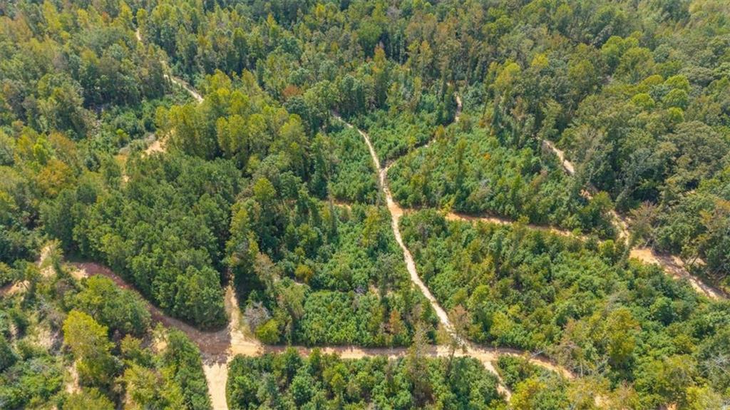 6058 Mt Zion Road Waco, GA 30182 - Photo 6 of 72 a view of a yard and trees