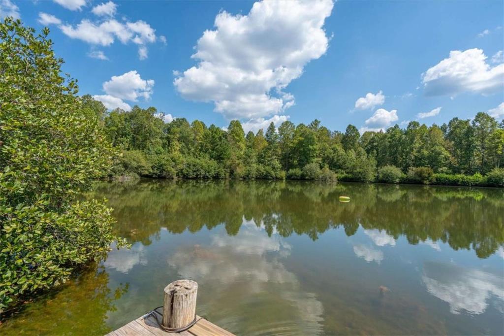 6058 Mt Zion Road Waco, GA 30182 - Photo 61 of 72