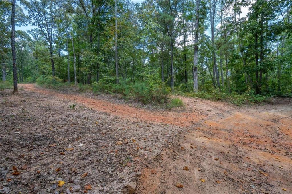 6058 Mt Zion Road Waco, GA 30182 - Photo 64 of 72 a view of a yard with trees in the background