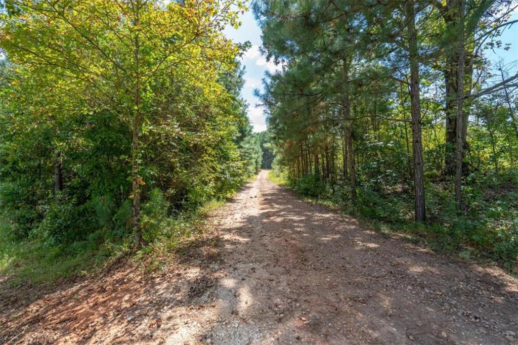 6058 Mt Zion Road Waco, GA 30182 - Photo 9 of 72 a view of a forest with trees in the background