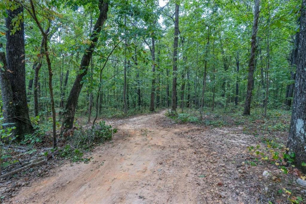 6058 Mt Zion Road Waco, GA 30182 - Photo 10 of 72 a view of a forest with trees in the background