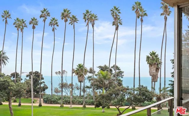 a view of a city with palm trees