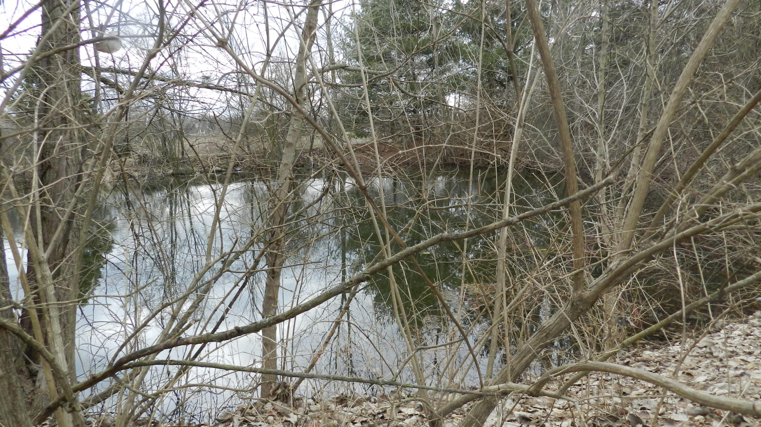 2595 Smeltzer Road Marion, OH 43302 - Photo 16 of 65 DSCN5168