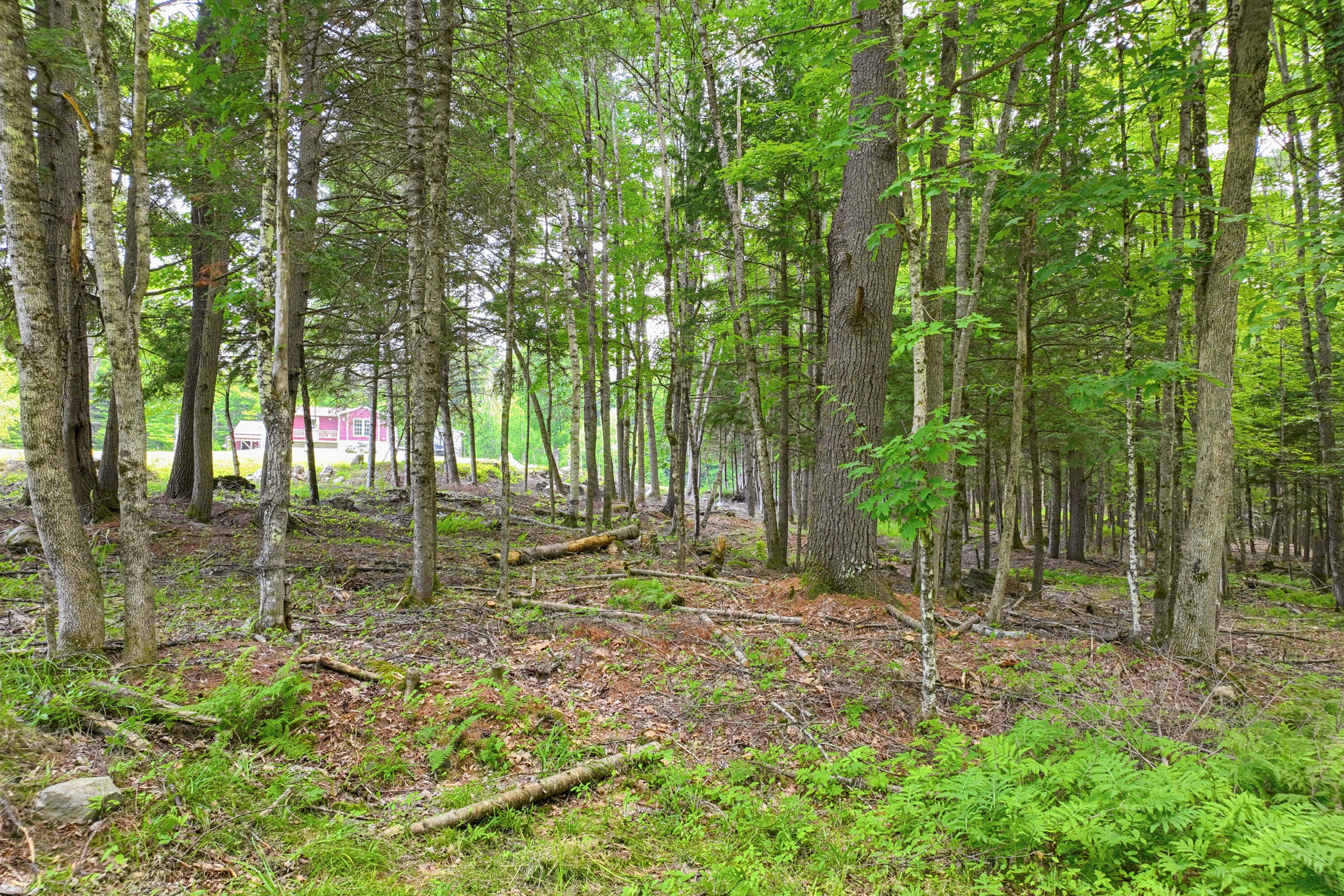 68 Bean Family Road New Gloucester, ME 04260 - Photo 20 of 35 DBT Bean Family Rd-03
