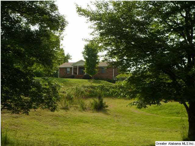 2794 Warrior Valley Road Altoona, AL 35952 - Photo 7 of 17