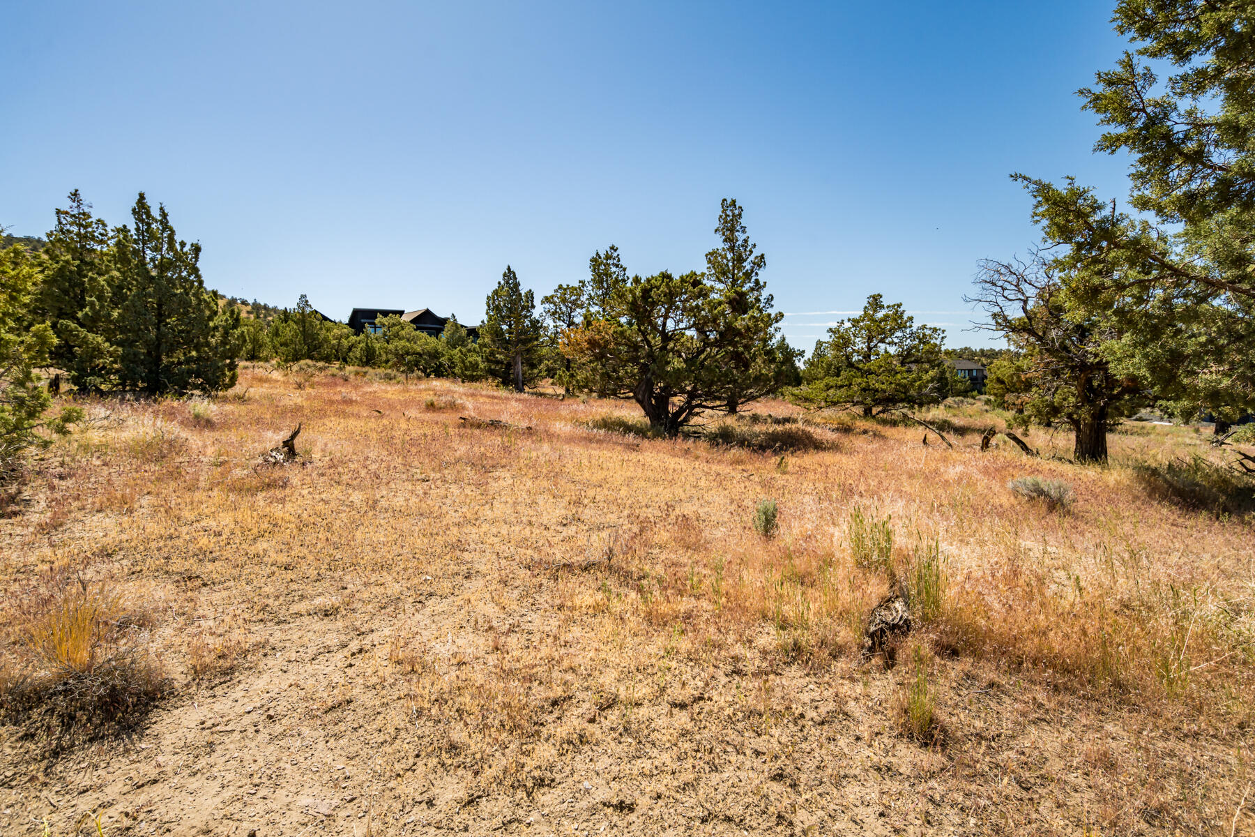 Lot 141 Southwest Brasada Ranch Road Powell Butte, OR 97753 - Photo 7 of 20 JH5_2138