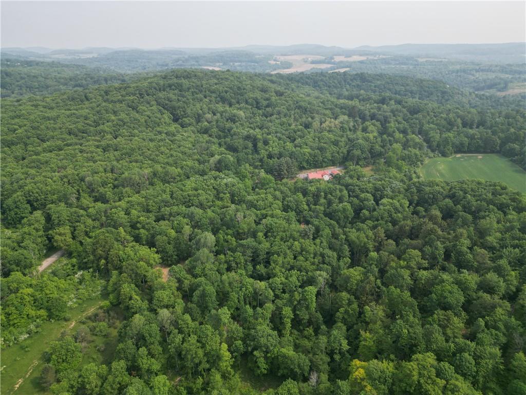 304 Ellermeyer Road Walston, PA 15781 - Photo 45 of 50 a view of a lush green forest with a building and trees in the background
