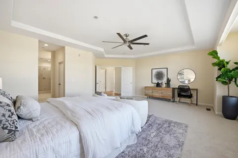 a spacious bedroom with a bed a couch and a potted plant