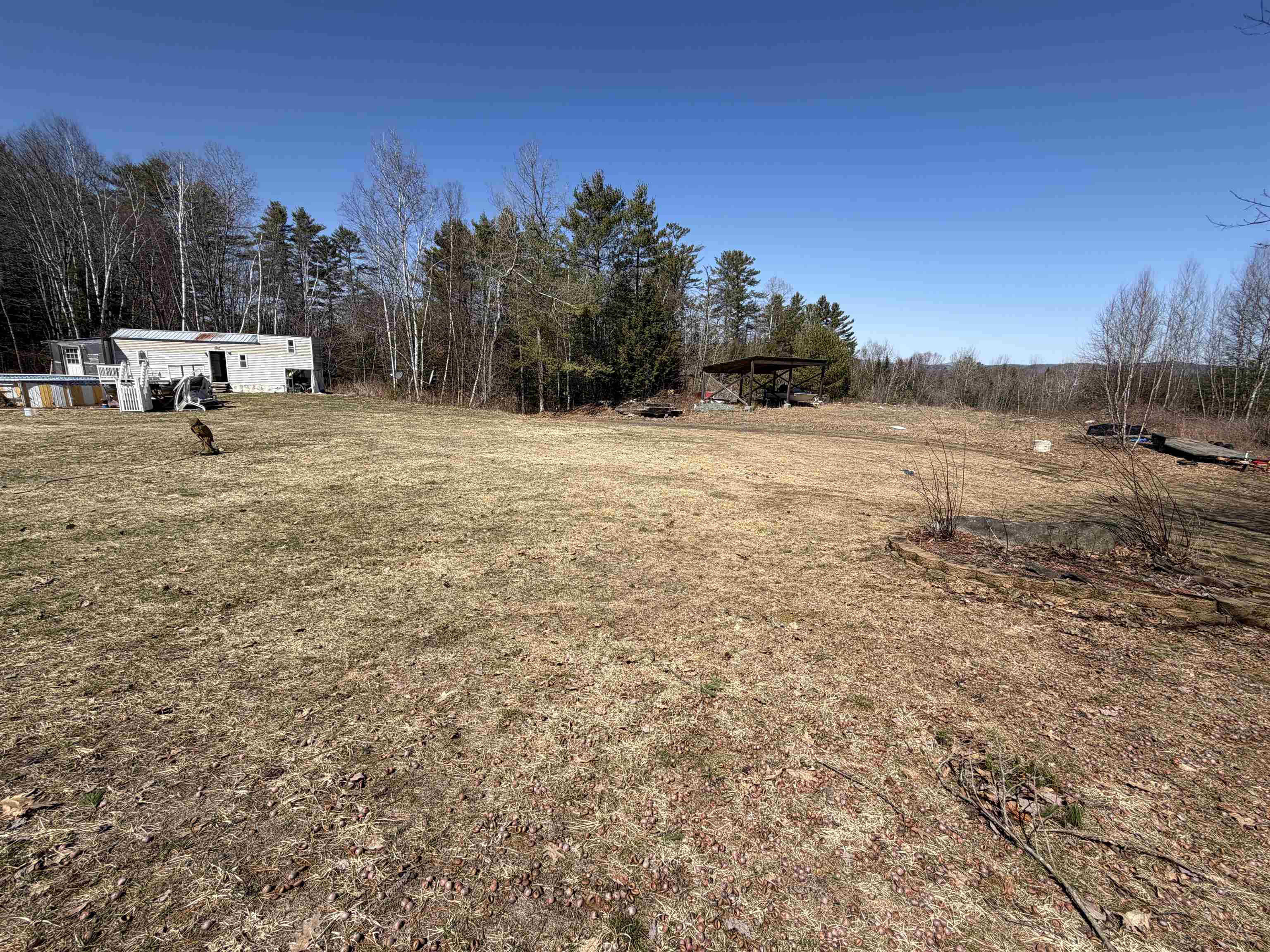 461 Butson Road Lisbon, NH 03585 - Photo 27 of 36