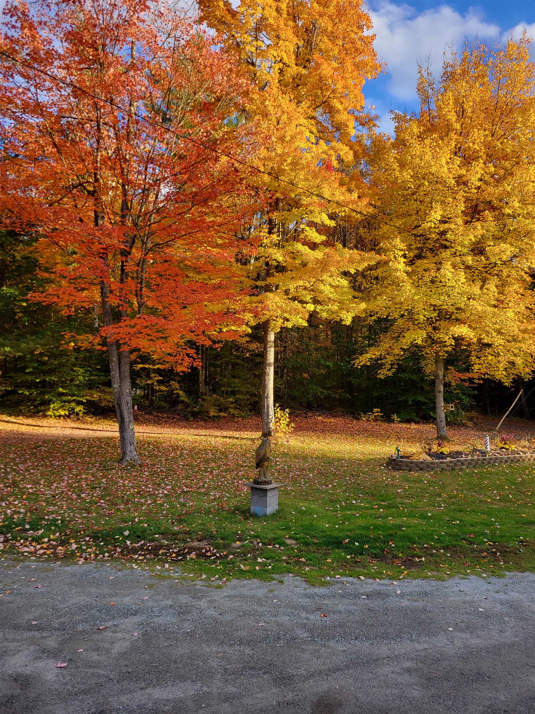 461 Butson Road Lisbon, NH 03585 - Photo 30 of 36