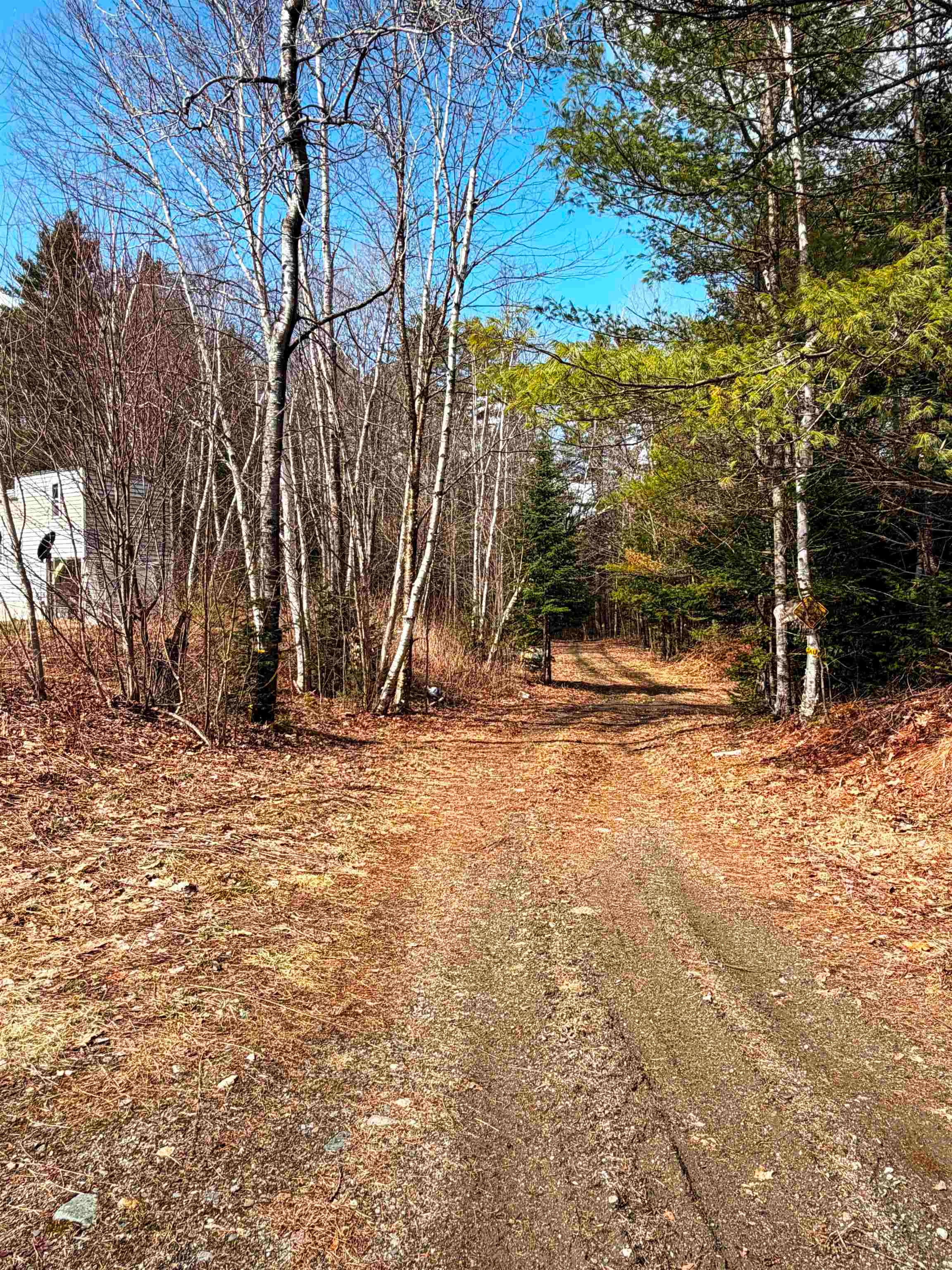 461 Butson Road Lisbon, NH 03585 - Photo 32 of 36