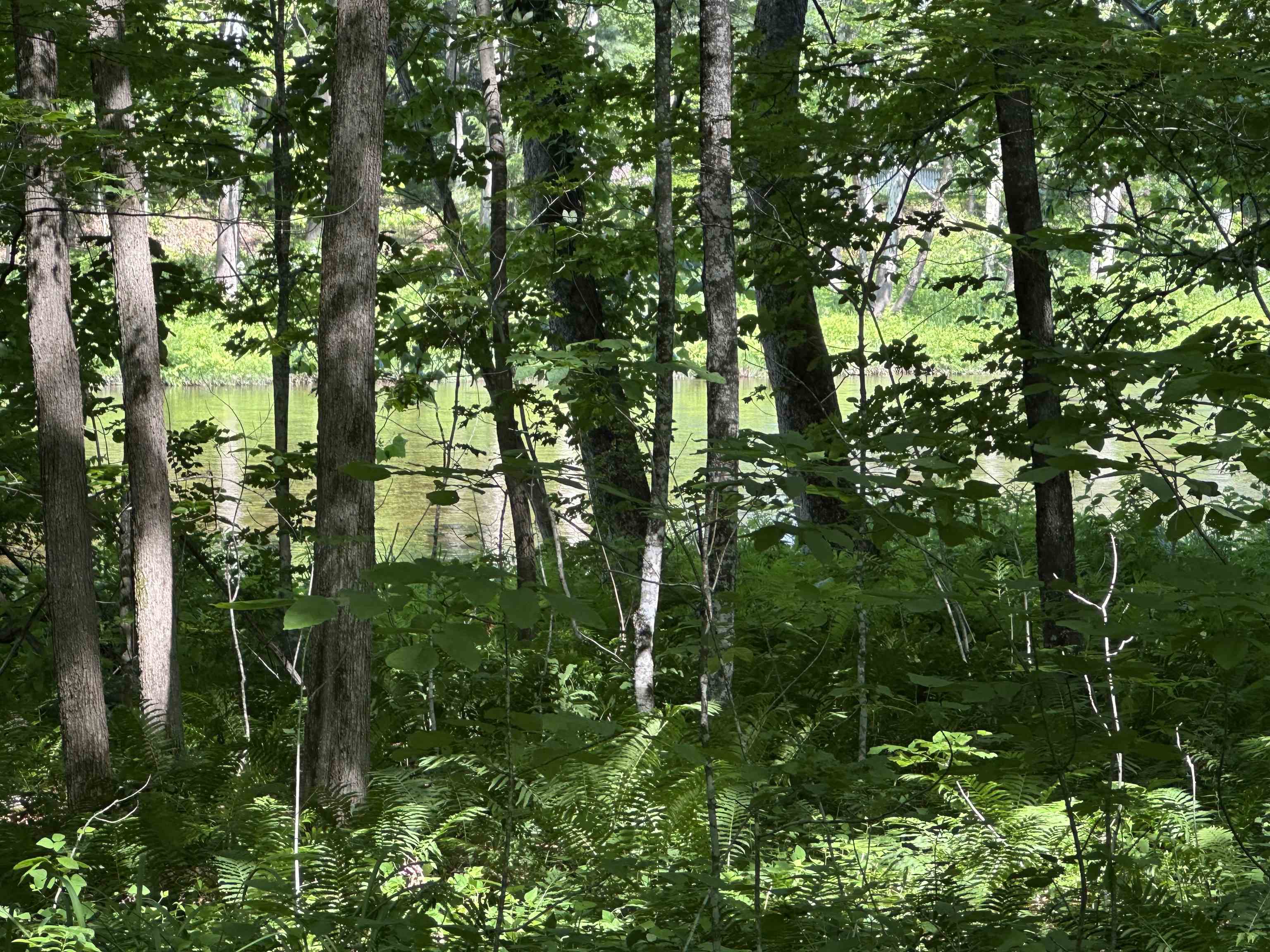 2903 State Forest Road Townshend, VT 05353 - Photo 7 of 31
