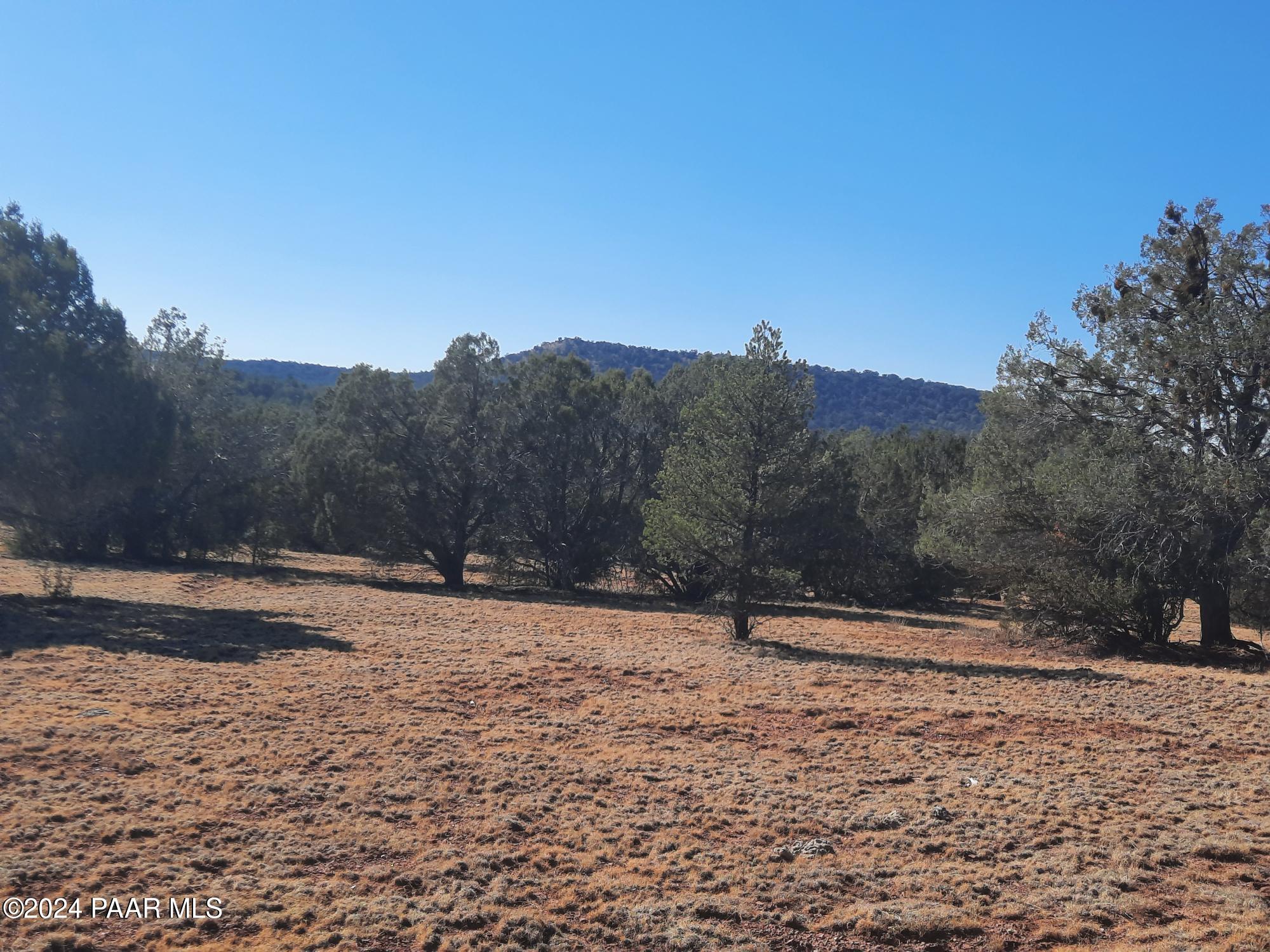 Lot 70 Deadtree Road Seligman, AZ 86337 - Photo 1 of 15 20241204_123629