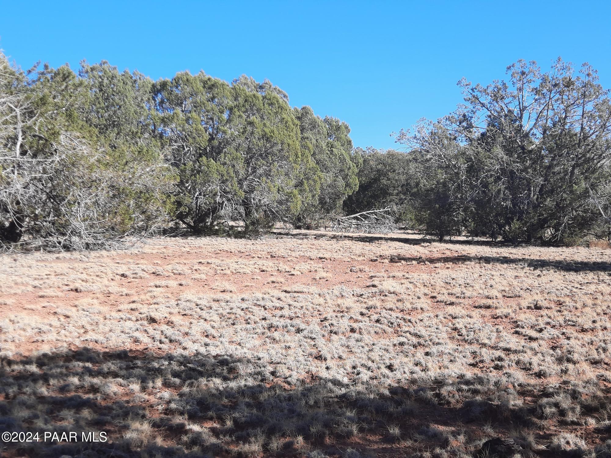Lot 70 Deadtree Road Seligman, AZ 86337 - Photo 11 of 15 20241204_124633