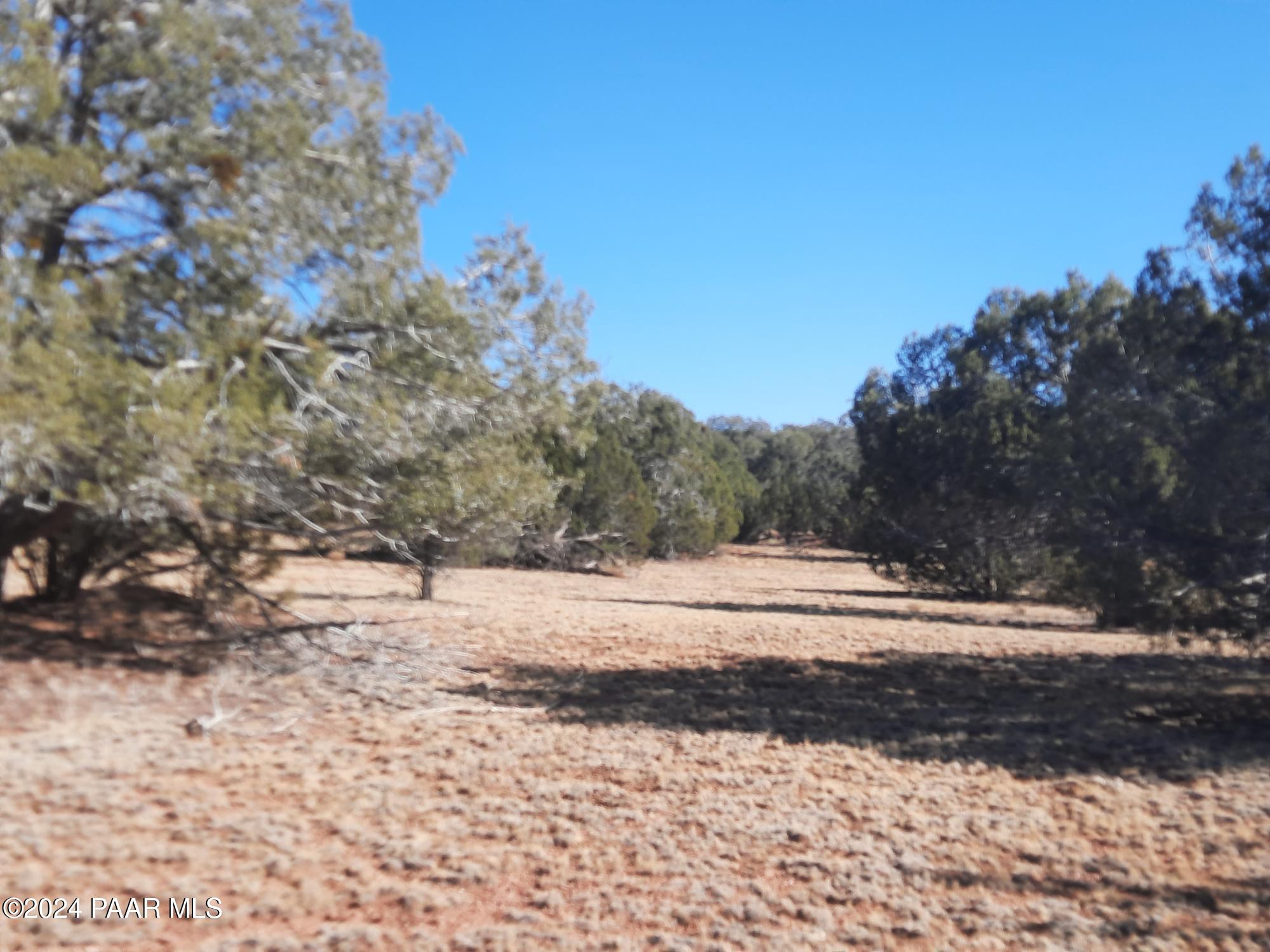 Lot 70 Deadtree Road Seligman, AZ 86337 - Photo 13 of 15 20241204_124716
