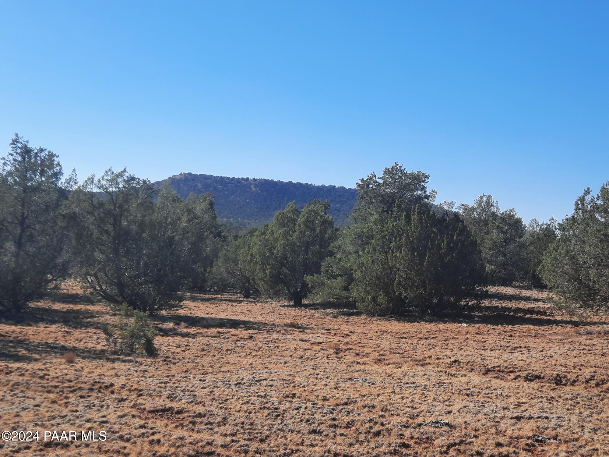 Lot 70 Deadtree Road Seligman, AZ 86337 - Photo 2 of 15 cover