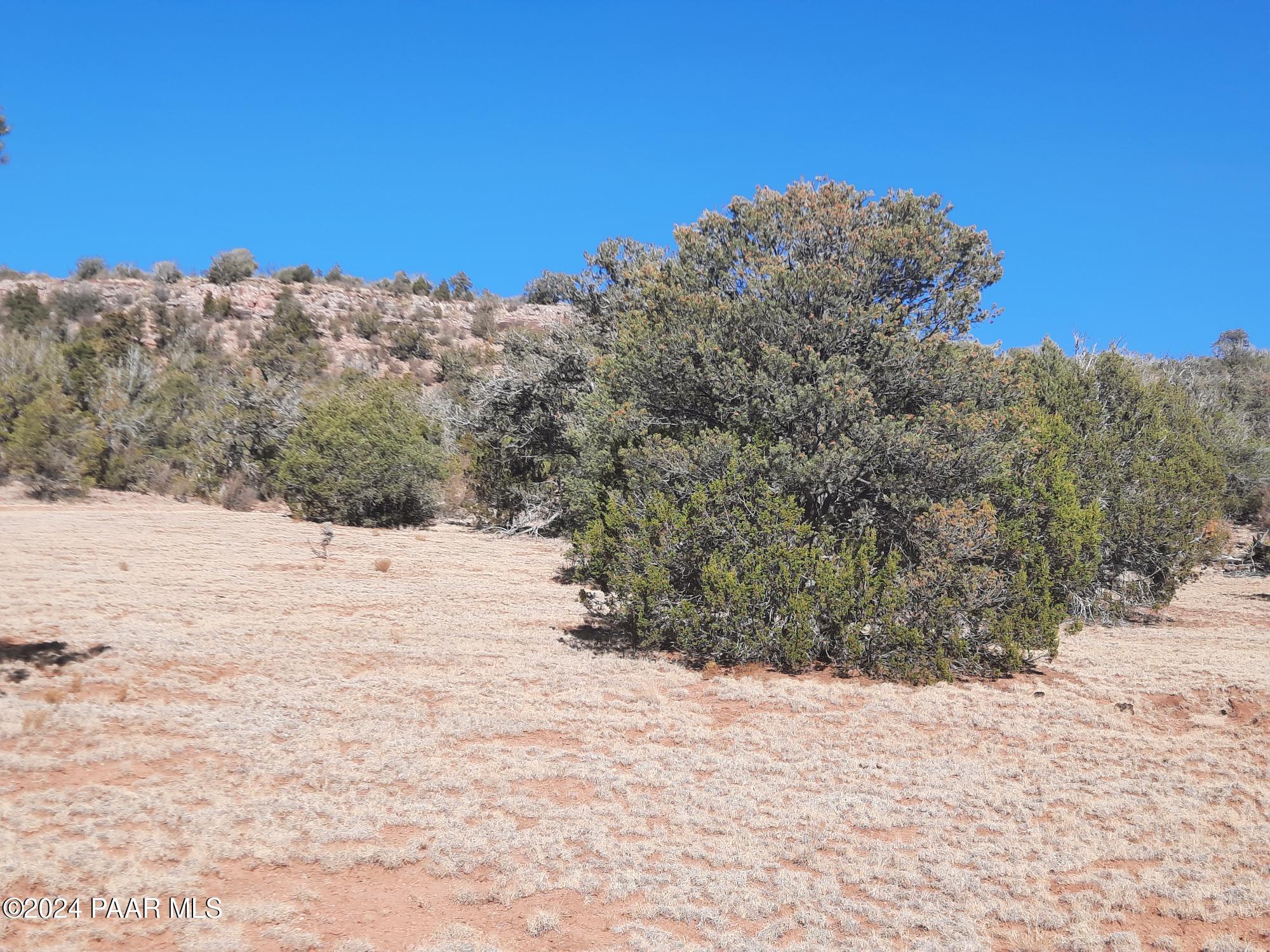 Lot 70 Deadtree Road Seligman, AZ 86337 - Photo 3 of 15 20241204_124059