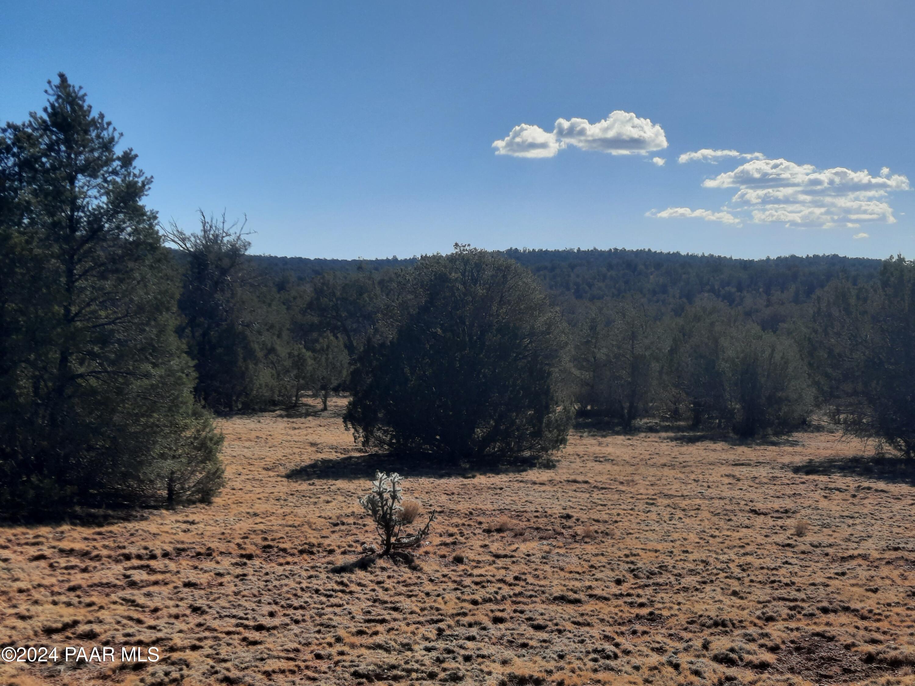 Lot 70 Deadtree Road Seligman, AZ 86337 - Photo 4 of 15 20241204_123613